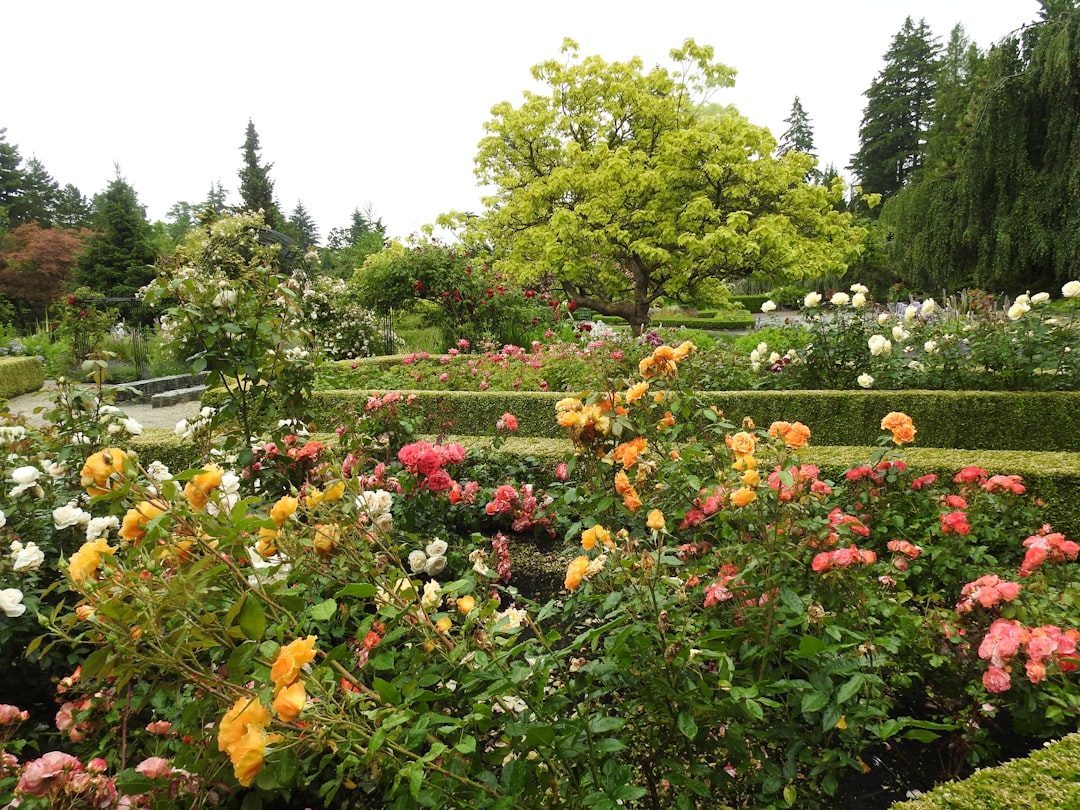Photo botanical gardens