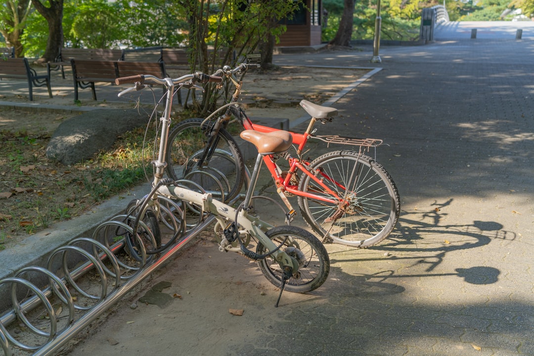 Photo bicycle theft prevention
