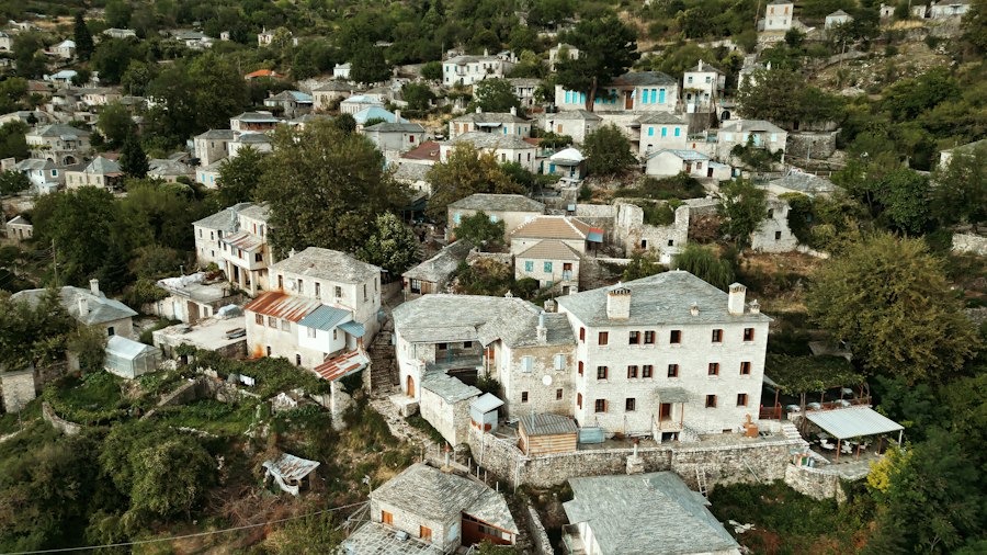pasiuni