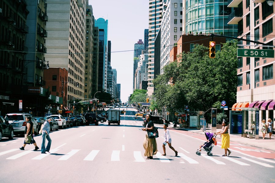 Photo urban life guide experts data 2024