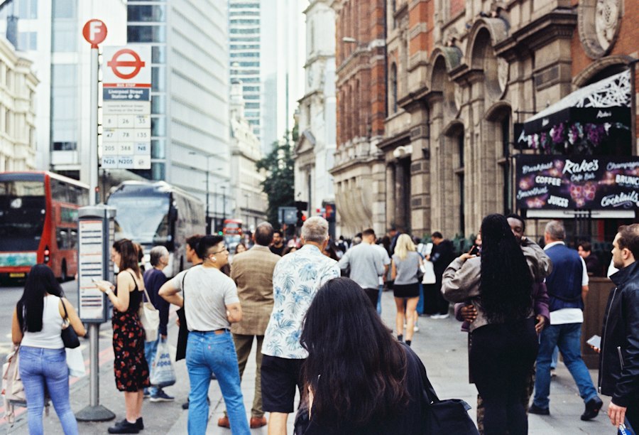 urban life guide experts data 2024
