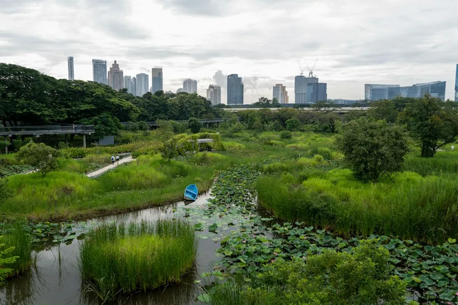 Photo urban ecology concepts