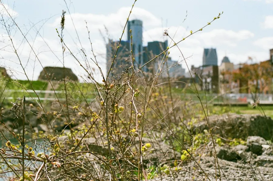 Photo urban ecology common mistakes