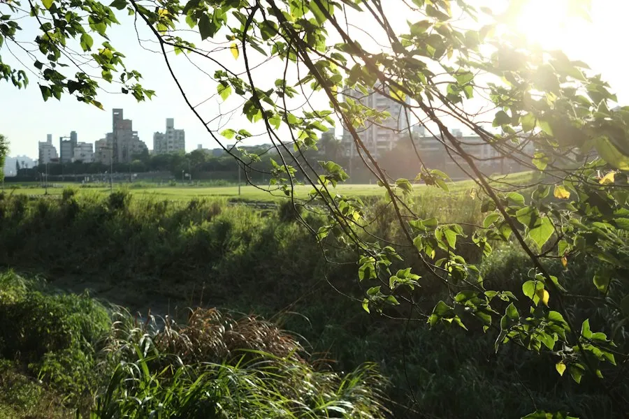 urban ecology common mistakes